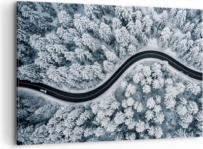 Produktbild von Bild auf Leinwand - Leinwandbild - Einteilig - Wald Winter Straße - 120x80cm - Wand Bild - Wanddeko - Wandbilder - Leinwanddruck - Bilder - Wanddekoration - Leinwand bilder - Wandbild - AA120x80-5010