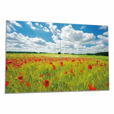 Produktbild von Wallario Herdabdeckplatte aus Glas, Größe 80 x 52 cm 2-teilig, Motiv Grüne Wiese mit Mohnblumen