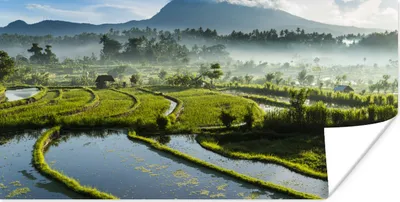 Produktbild von MuchoWow® Poster Reisfelder auf Bali 40x20 cm - Poster für die Wand - Poster Schlafzimmer