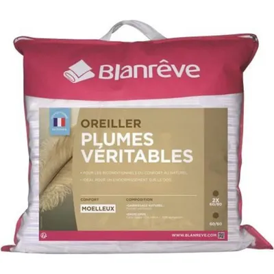 Produktbild von BLANREVE Set mit 2 Federkissen - 60x60 cm