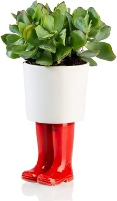 Produktbild von Gummistiefel Mini Blumentopf in rot