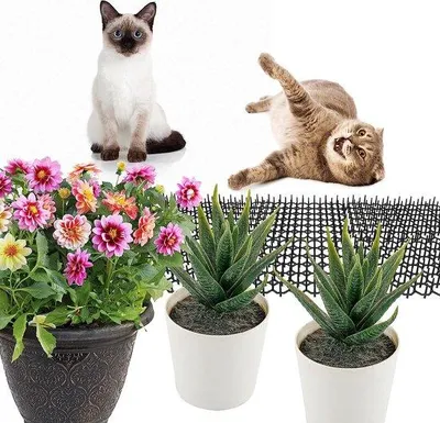 Produktbild von Famanu Katzenschutzmatte mit Stacheln - Duivenabwehr für Balkon und Garten