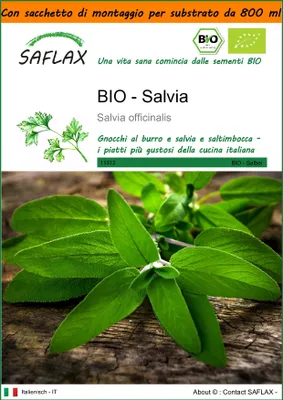 Immagine prodotto di SAFLAX Garden in the bag -- Salvia - 60 semi - Salvia
