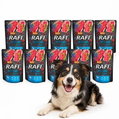 Image de RAFI Nourriture humide pour chiens adultes 10 × 300 g – sachets à l’agneau, Dolina Noteci, productTiles.product.images.aiGenerated