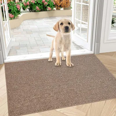 Productafbeelding van Schoonloopmat 50 x 80 cm, bruin, antislip, wasbaar, geschikt voor de entree