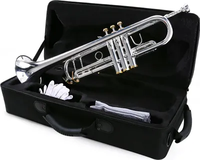 Immagine prodotto di Tromba professionale in Sib, materiale in ottone, finitura argentata, bellissimi tasti a conchiglia, strumento a fiato con bocchino 5C, borsa per il trasporto, guanti, panno per la pulizia
