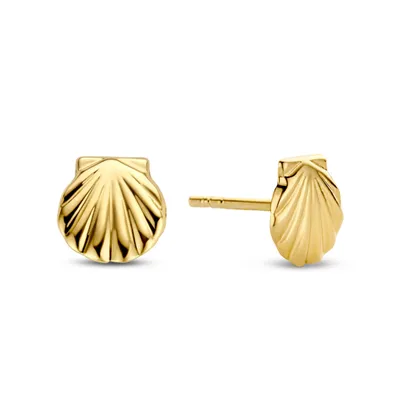 Produktbild von Ohrstecker Muschel aus echt Gold 585 (14 kt)
