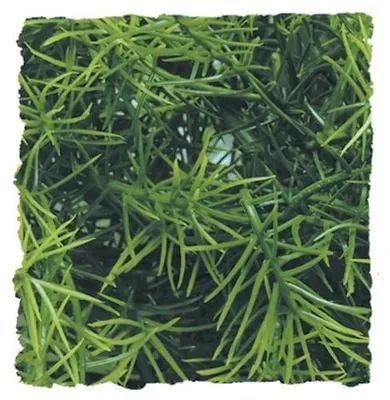 Productafbeelding van Zoo Med Cashuarina kunstplant voor terraria | decoratieve schuilplant Small