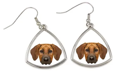 Immagine prodotto di Rhodesian Ridgeback - Orecchini con immagine e scritta "Cane geometrico" di Art-Dog