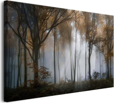 Obrázek produktu pro Obraz na plátně do obývacího pokoje Nástěnná dekorace Tajemný les v mlze 60x90