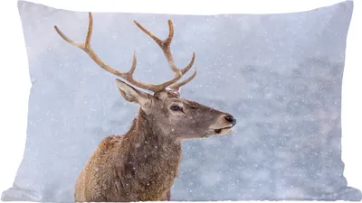 Produktbild von MuchoWow® Zierkissen Sofakissen Wohnzimmer Dekokissen 50x30 cm Schnee - Hirsche - Winter - Wohnzimmerdekoration - Polster mit Photo