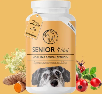 Produktbild von Senior Vital Tabletten Hund 120 Stück - Senior Ergänzungsfutter Hund
