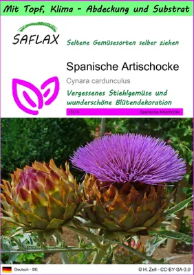 Produktbild von SAFLAX Garden to go - Spanische Artischocke - Cynara cardunculus - 50 Samen - Mit Topf, Klima - Deckel und Anzuchtsubstrat