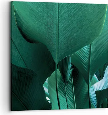 Produktbild von Bild auf Leinwand - Leinwandbild - Einteilig - Blätter Palmen Banane - 70x70cm - Wand Bild - Wanddeko - Wandbilder - Leinwanddruck - Bilder - Wanddekoration - Leinwand bilder - Wandbild - AC70x70-4694
