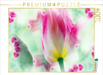 Produktbild von CALVENDO Puzzle Ein Motiv aus dem Kalender Tulpenphantasie | 1000 Teile Lege-Größe 64x48cm Foto-Puzzle für glückliche Stunden