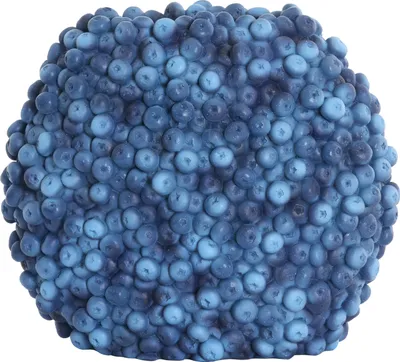 Produktbild von Light & Living - Vase BERRIES - 32x18x27,5cm - Blau