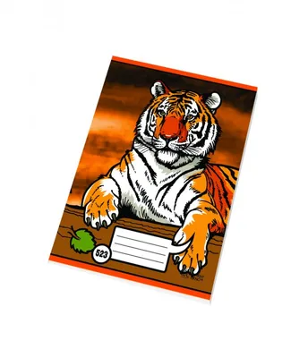 Image de Cahier d'exercices 523