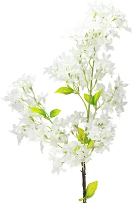 Produktbild von Künstlicher Fliederzweig Weiß Deko Rispen 95cm