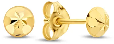 Produktbild von New Bling Oorknopjes – 9NBG-1071 – 14K Goud – Rond – 4 mm