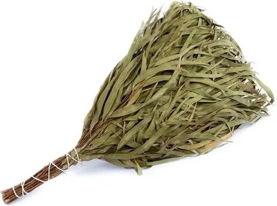 Image de Eucalyptus Flammifère