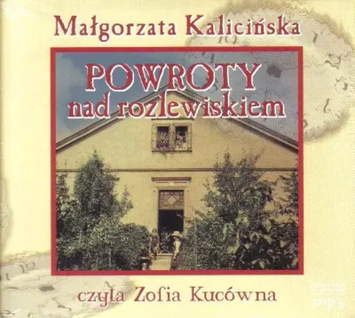 Produktbild von Kalicinska, M: Powroty nad rozlewiskiem