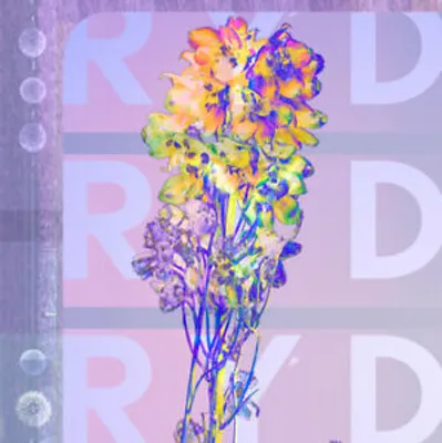 Immagine prodotto di Ryd : Ryd Cd (2019)