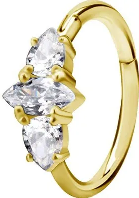 Produktbild von Karisma Edelstahl Gold Hinged Segmentring Charnier/Conch Clicker Ring Piercing Ohrring Zirkonia Stärke 1,2mm Durchmesser 12mm - Bg-bhcrz-49