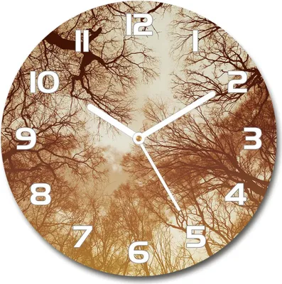 Produktbild von Wanduhr aus Glas 30fi Glasbild Glasuhr Gehärtetes Glas - weisse-zeiger - Forest