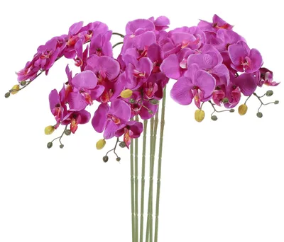 Immagine prodotto di Omgoods - 6 steli di orchidee artificiali per la decorazione della casa, colore viola
