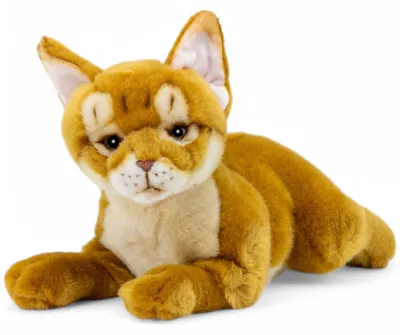 Immagine prodotto di Carl Dick gatto abissino di circa 30 cm, peluche, peluche, peluche 3722