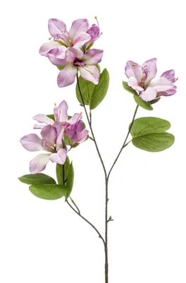 Produktbild von künstliche Orchidee Bauhinien lila H. 87cm Emerald Kunstblumen WA