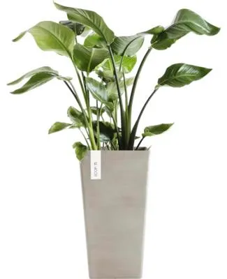Produktbild von Pflanzvase Ecopots Rotterdam Kunststoff matt 31 x 31 x 56 cm graubraun
