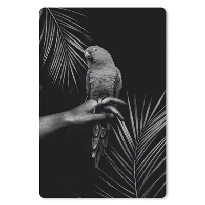 Produktbild von MuchoWow® Mauspad Mousepad Vogel auf einer Hand und schwarzem Hintergrund - schwarz und weiß 18x27 cm - Mousepads - Maus Mat - Pad - Mausunterlage
