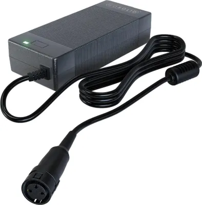 Immagine prodotto di GO SOLID! Caricabatterie compatibile con Gazelle Innergy - 48V 2A