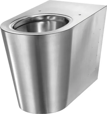 Immagine prodotto di Delabie WC S21 P bodenst. Anschl. von hinten Edst. 1.4301 satiniert