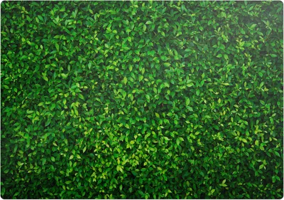 Produktbild von Blattwand Der Natur – Bodenschutzmatte – Rutschfest – Schutzmatte für Büro – Vinylmatte – Stuhlunterlage  – 100 x 100 cm