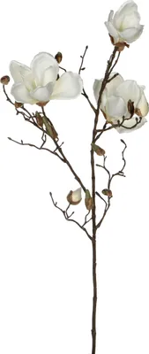 Produktbild von Mica Decorations Magnolien Kunstblume - H88 cm - Weiß
