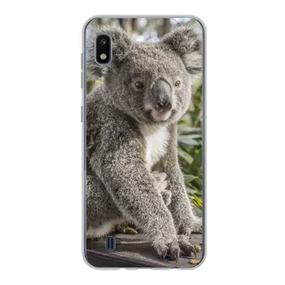 Produktbild von MuchoWow® Handyhülle Schutzhülle Hülle für Samsung Galaxy A10 Koala - Holz - Pflanzen - Kinder - Jungen - Mädchen Silikon Softcase Handy Hülle - Schutzhülle