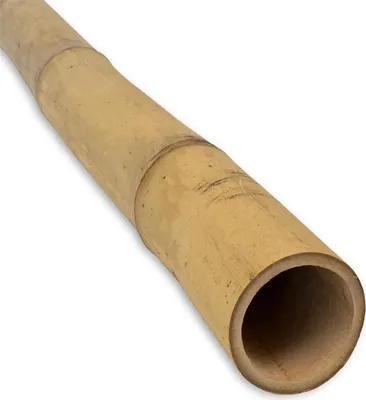 Produktbild von Pflanzstab Bambus 210 cm Ø 18/20 mm