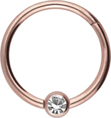 Produktbild von Ohrpiercing, Nasenpiercing, Septum Piercing Titan Segmentring Clicker KRISTALL RoséGold Innendurchmesser: 10 mm
