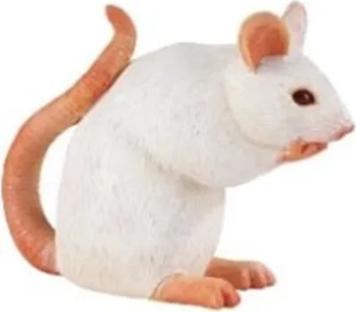 Produktbild von Safari - 261229 - Maus, PVC, 12cm x 9cm x 4cm, PVC