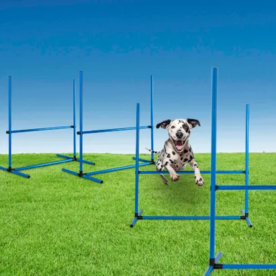 Produktbild von Hunde-Agility-Set, 4-teilig Maße je Hindernis: 65 x 95 x 95cm