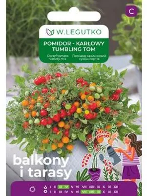 Obrázok produktu pre Semená zemného trpasličieho paradajka Thumbling Tom