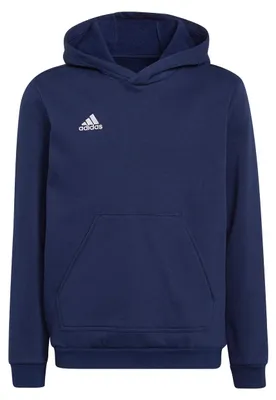 Produktbild von adidas Entrada 22 Sweat Hoodie 128 TENABL