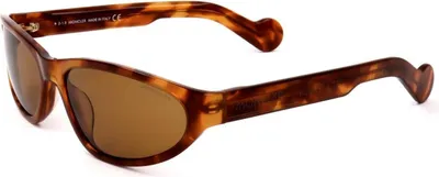Image de Moncler ML0115 Blonde havana 59/17/135 Lunettes de soleil unies