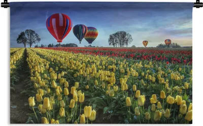 Produktbild von MuchoWow® Wandteppich Wandbehang Heißluftballons über einem Tulpenfeld 60x40 cm Tapisserie Dekoration Wandtuch - Wanddekorationen