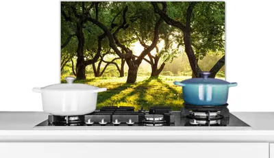 Produktbild von KitchenYeah®  Spritzschutz Küche - Küchenrückwand - Wandschutz für Herd und Spüle - Bäume - Natur - Sonne 70x50 - Alu-Dibond (Alternative zum Spritzschutz aus Glas) - Hitzebeständig - Herdspritzschutz