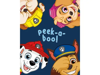 Obrázek produktu pro Dětská deka Paw Patrol II