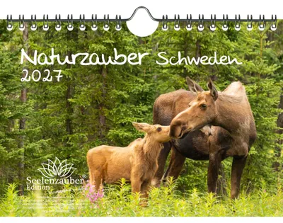 Produktbild von Naturzauber Schweden DIN A5 Kalender für 2027 Natur Reise Land Urlaub - Seelenzauber