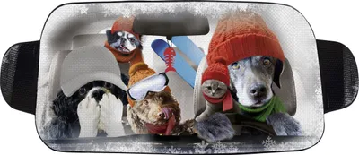 Produktbild von OKCars Frontscheibenabdeckung für den Winter Hund und Katze